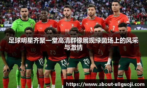 足球明星齐聚一堂高清群像展现绿茵场上的风采与激情